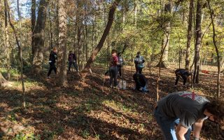 People in wooded area pulling up invasive plants